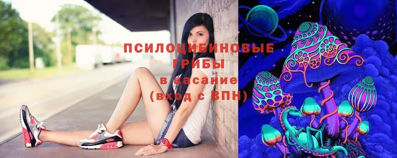 Галлюциногенные грибы MAGIC MUSHROOMS Подольск